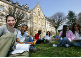 Vivamus volutpat turpis