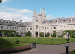 Vivamus volutpat turpis