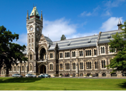 Donec semper dui ut risus