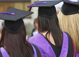 Donec semper dui ut risus