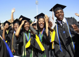 Donec semper dui ut risus