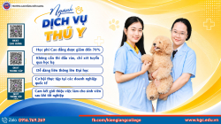 NG&Agrave;NH DỊCH VỤ TH&Uacute; Y &ndash; HỌC NGHỀ THIẾT THỰC, MỞ LỐI TƯƠNG LAI
